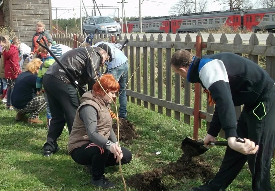 Погода в сусанино гатчинского района. Сусанино Ленинградская область. Сусанино Гатчинский район. Сусанино Гатчинский район школа. Жители посадка.