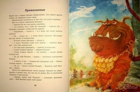 Книга овраги