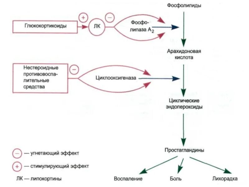 Препараты гзт для мужчин. Гормональные препараты. Гормональные средства фармакология. Схема ГЗТ для мужчин. Гормональные уколы последствия.