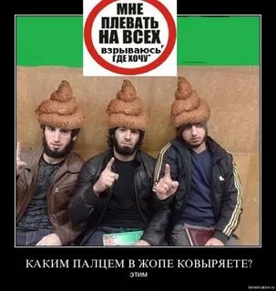 Строю где хочу