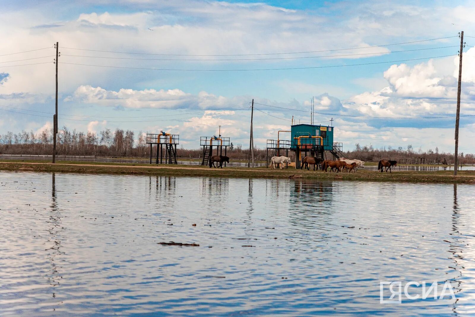 Погода намском улусе. Намский улус село арбын. Аппаны намский улус. Ысыах якутск 2023. Намский улус зимние развлечения.
