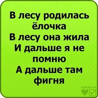 В лесу родилась елочка 4 пьяных ежика