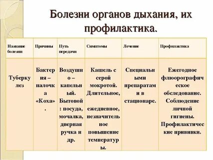 Лечение болезней органов дыхания