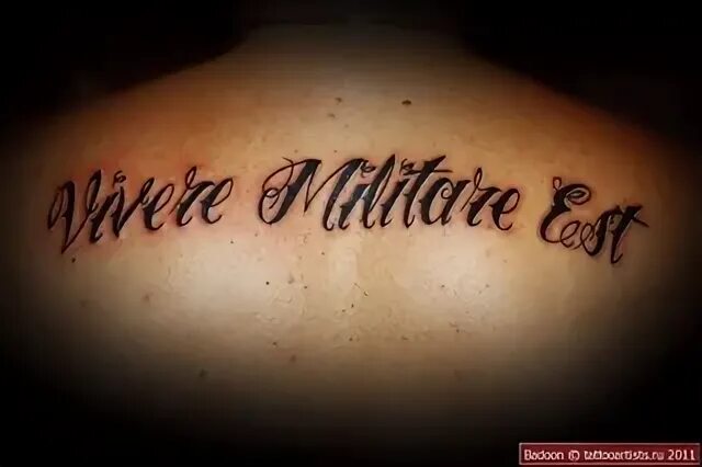 Татуировки надписи на латыни. Тату на руке мужские надписи. Тату надписи для мужчин. Vivere militare est тату. Тату надписи с переводом.