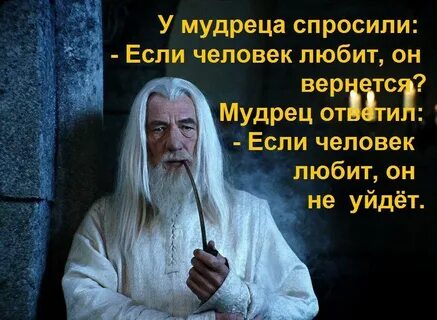 Победи мудреца