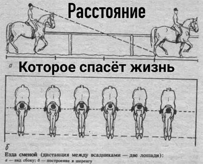 Тест на кск