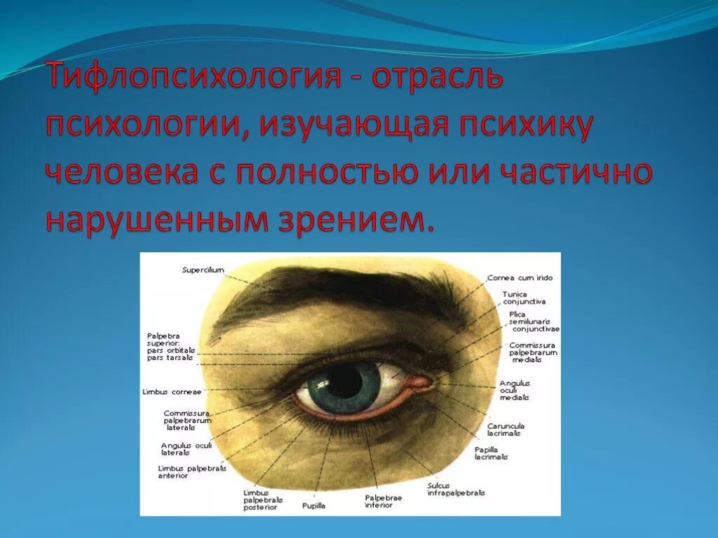 Тифлопсихология изучает. Тифлопсихология. тифлопсихология презентация. тифлопсихология картинки. тифлопсихология это определение.