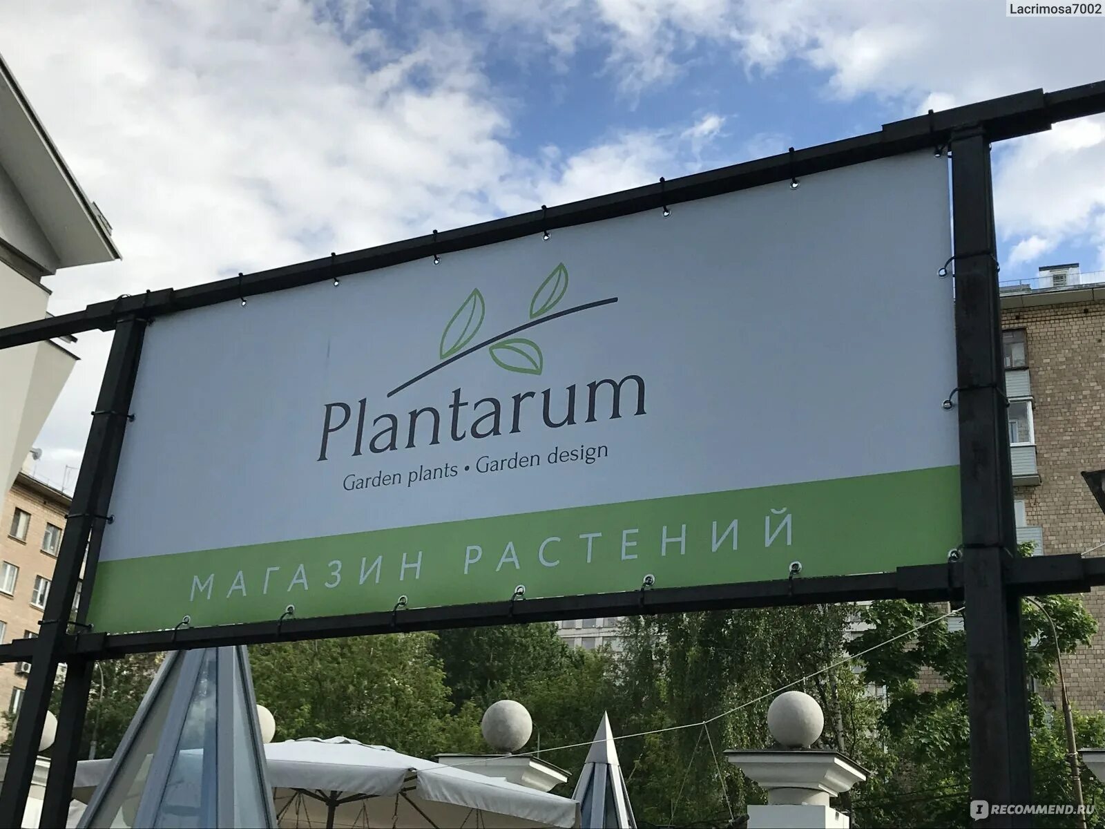 Garden zoo интернет магазин. Супертуния лавендер уайт. Цветок шоп интернет магазин. Гарденплантс интернет-магазин саженцев. Гарденплантс.