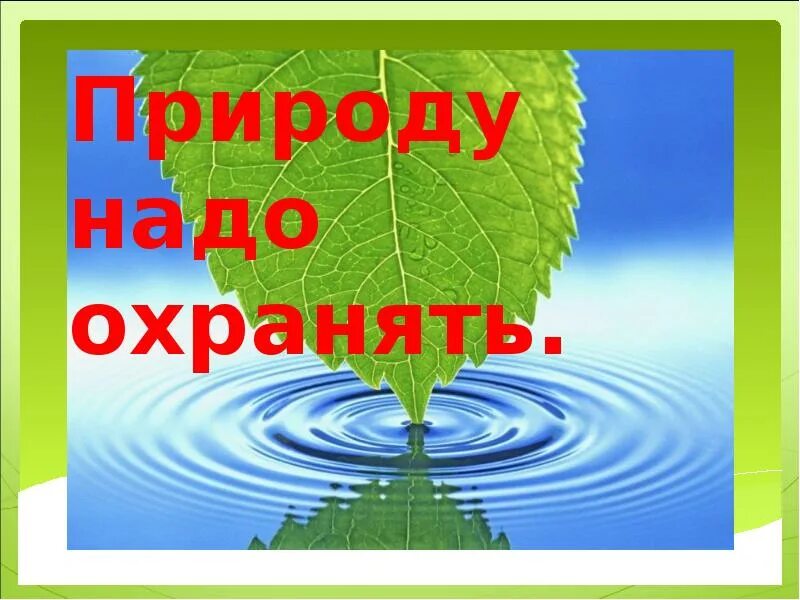 Почему люди должны охранять природу. Природу надо охранять. Природу надо беречь и охранять. Что надо на природу. Что нужно чтобы защитить природу.