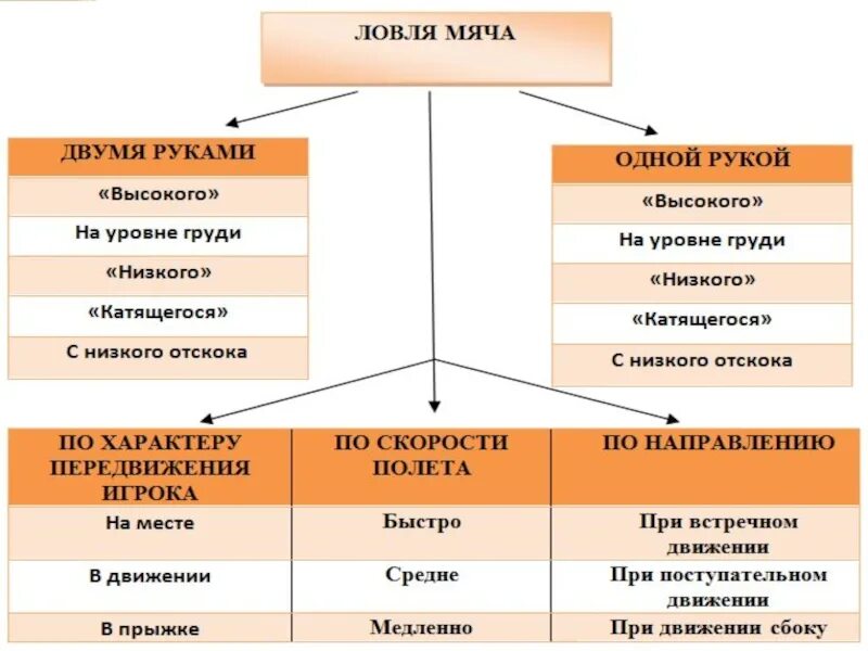 Тип ловли. Классификация техники ловли мяча в баскетболе. Классификация передачи мяча в баскетболе. Ловля мяча в баскетболе схема. Классификация ловли мяча в баскетболе схема.