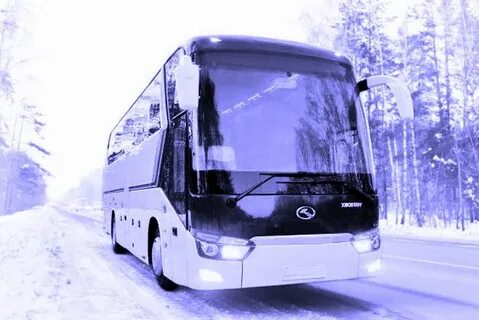 Омск астана автобус