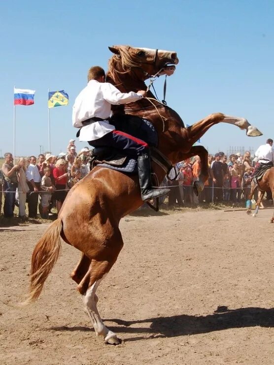 семерка на дыбах. бернаут на ниве. маслкары драгстеры. поставили на дыбы. поставили на дыбы.