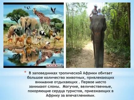 Отношение африки к тропикам