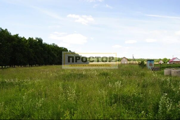 Участки в мишкино. Деревня мишкино. Дети земли мишкино. Участки в мишкино. Сайт путника мишкино.