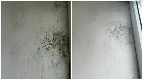 Антибактериальное средство Walnut Уничтожитель плесени и грибка - "Отличное сред