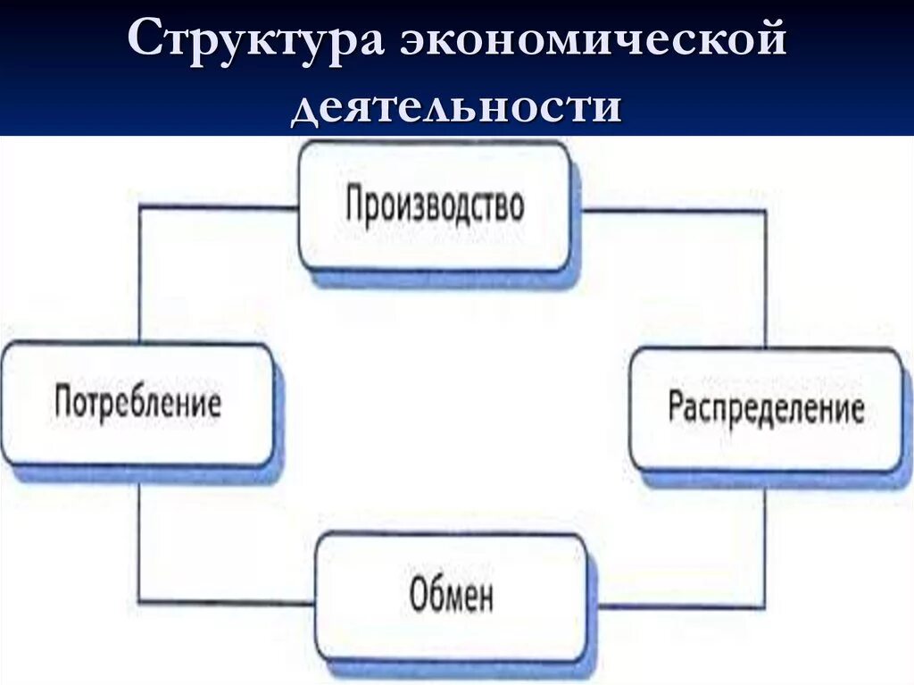 Экономическая деятельность покупка продуктов. Структура экономической деятельности. Структура экономической хозяйственной деятельности. Структура деятельности. Элементы структуры деятельности.