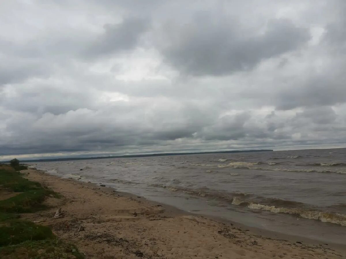 Милюшино Рыбинское водохранилище. Милюшино Рыбинское водохранилище пляж. Пляж на Рыбинском водохранилище Милюшино. Деревня Крестцы Рыбинское водохранилище.