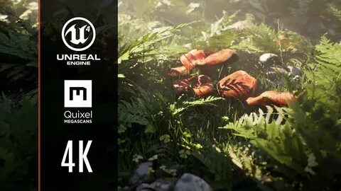 Unreal engine megascans