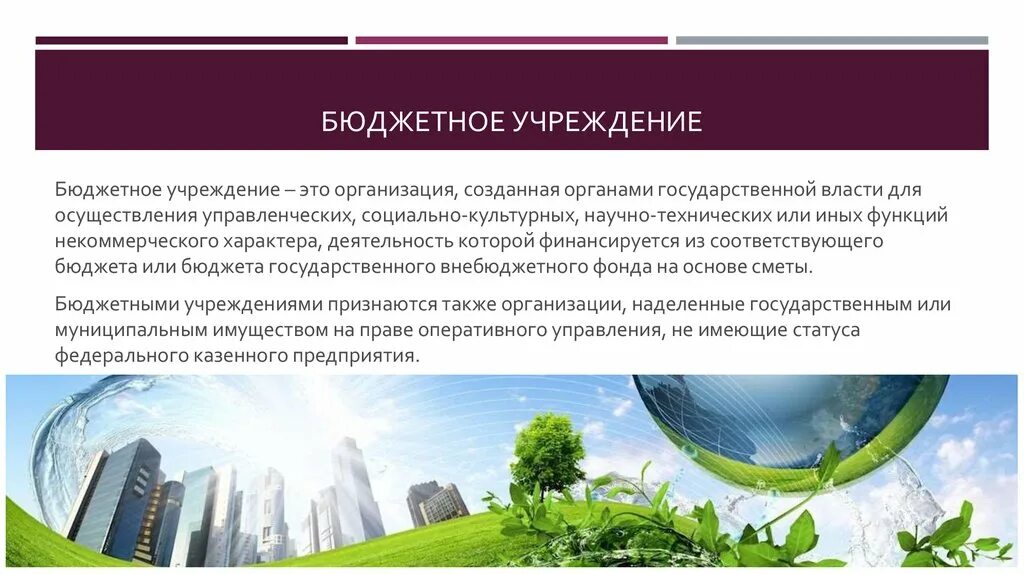 Что входит в бюджетные учреждения. Бюджетные учреждения. Бюджетные организации примеры. Бюджетная образовательная организация это. Государственные бюджетные организации это.