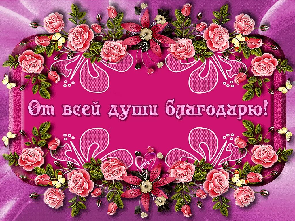 От души благодарю. Сегодня благодарю. Открытки с благодарностью. Открыточки с благодарностью. Сегодня благодарю.