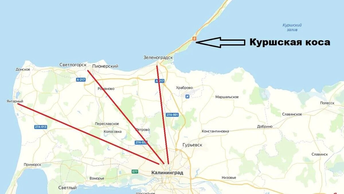 Как добраться из зеленоградска до янтарного