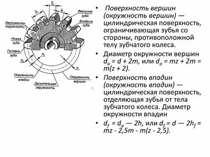 Начальная окружность зубчатого