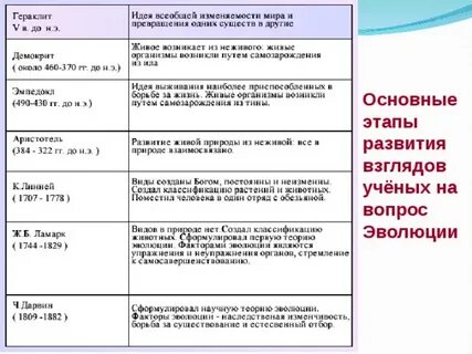 Примеры эволюционной теории
