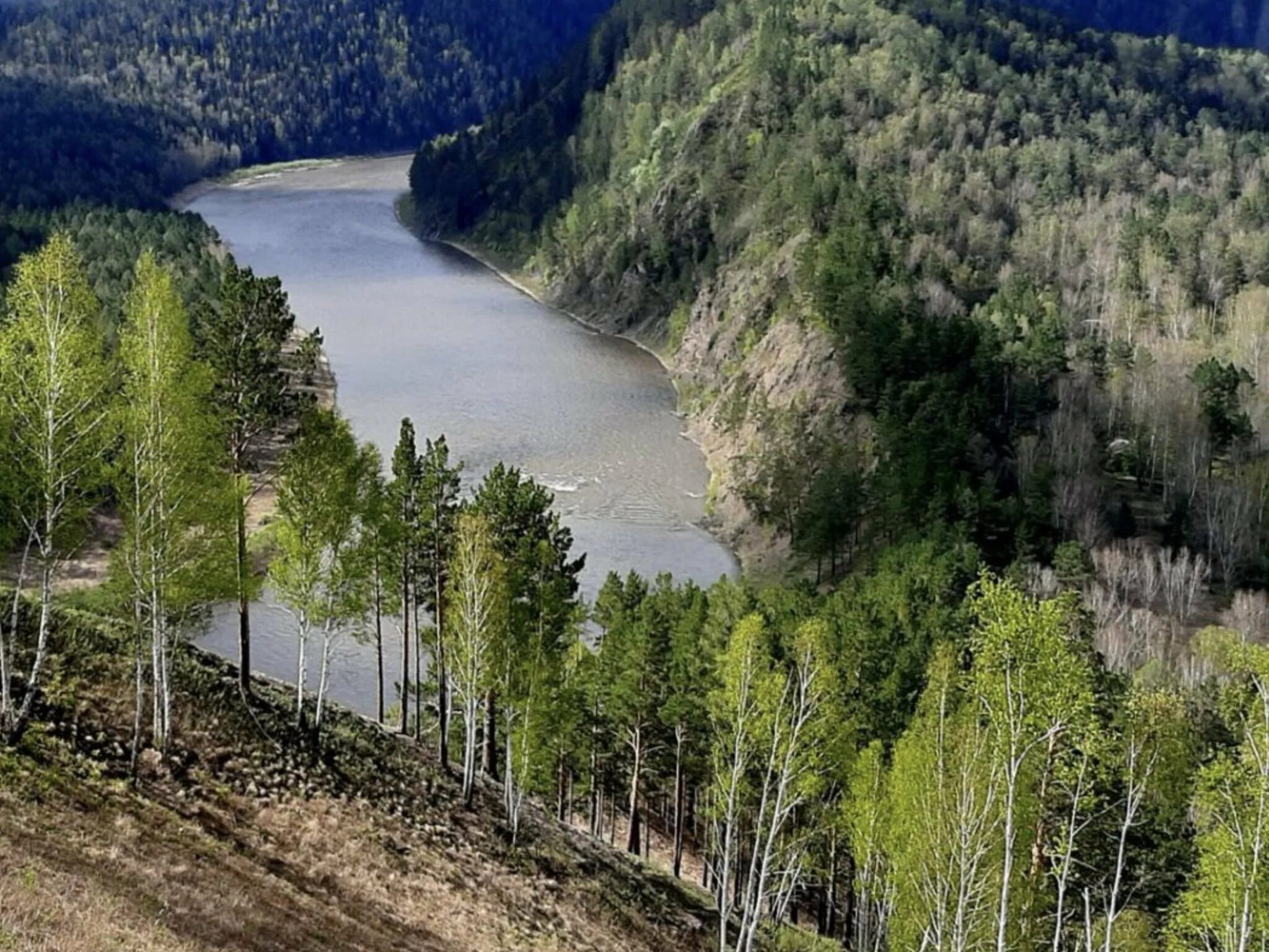 Речка в красноярске. Река Мана Красноярский край. Река Мана Пимия Красноярский край. Река Мана Красноярский край сплав. Мана река Манский поселок.