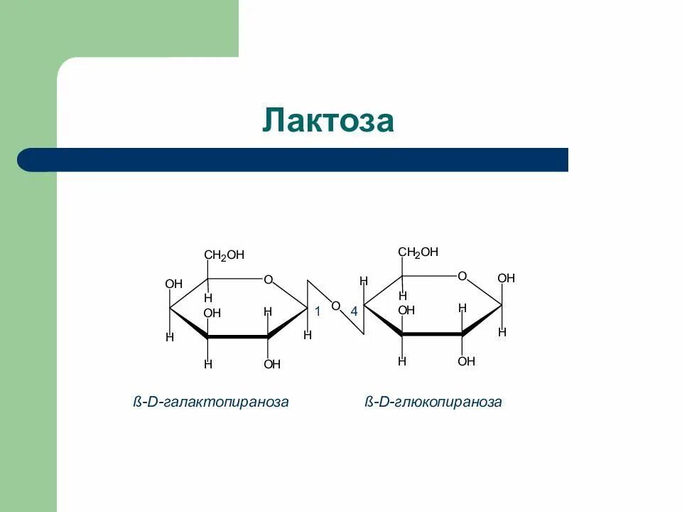 Из чего состоит лактоза. Химическая структура лактоза. лактаза структура. β-лактоза. формула структуры лактозы.