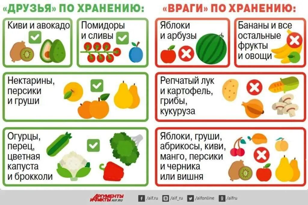 Как сохранить продукты от гниения. Товарное соседство овощей и фруктов. Правильное хранение овощей и фруктов. Товарное соседство овощей и фруктов в магазине. Инфографика хранение овощей и фруктов.