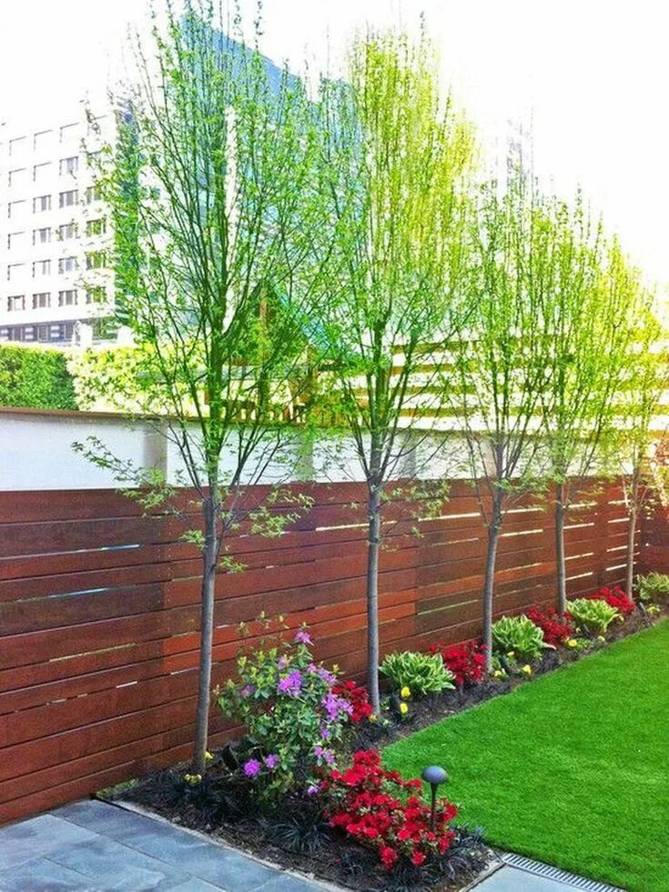 Деревья вдоль забора фото Even an experienced landscaper can make the mistake of thinking that their trees