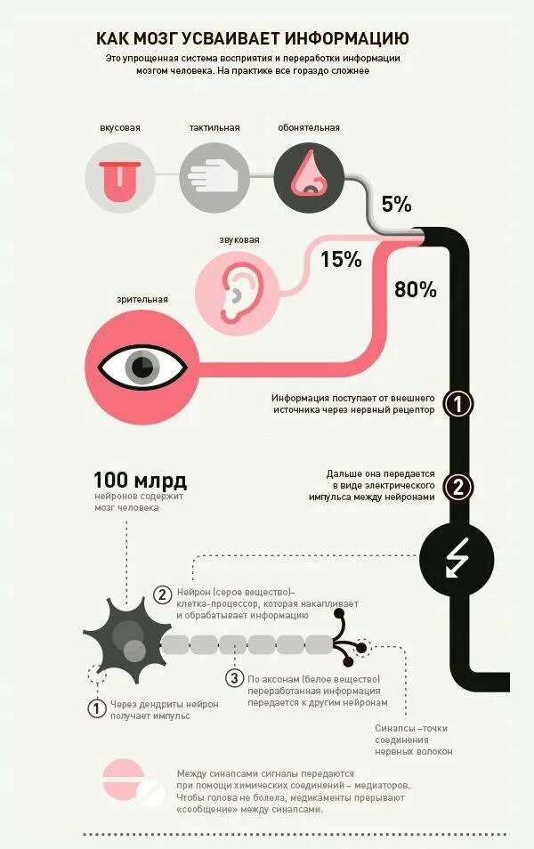 Мозгу нужно время. Инфографика информация. Мозг инфографика. Инфографика восприятие информации. Инфографика люди.