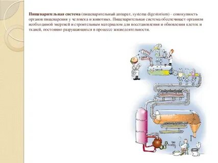 Система органов для производства речи называется