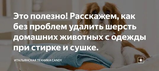 Как избавиться от шерсти животных при стирке. Удаляет шерсть животных при стирке. как убрать шерсть животных при стирке. как убрать волосы животных при стирке. как при стирке избавиться от шерсти животных.