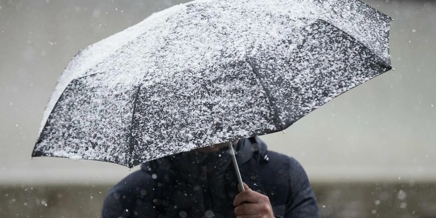Дождливый день. Осадки в виде дождя и снега. Осадки в виде снежков. Осадки в виде дождя и снега. Осадки в виде дождя и снега.