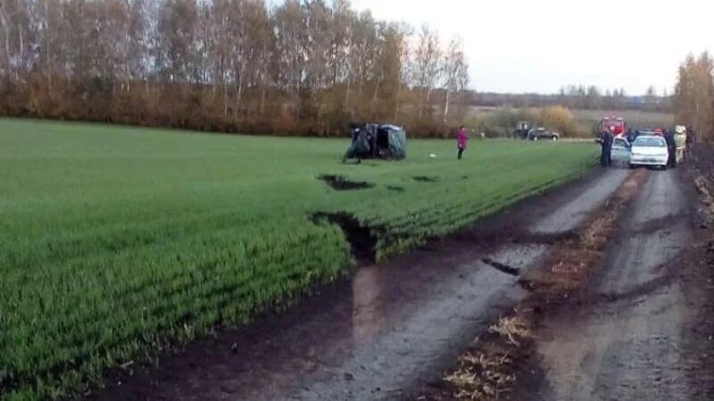 Погода тамбовская бахарево сампурский