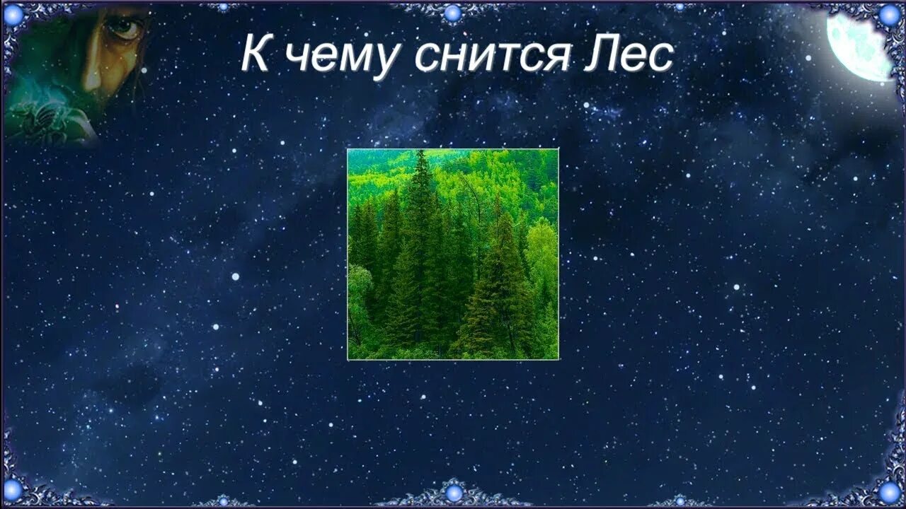 Сонник толкование снов к чему снится лес. Приснился лес. Приснился сон лес. К чему снится лес во сне. Лесную соннику.