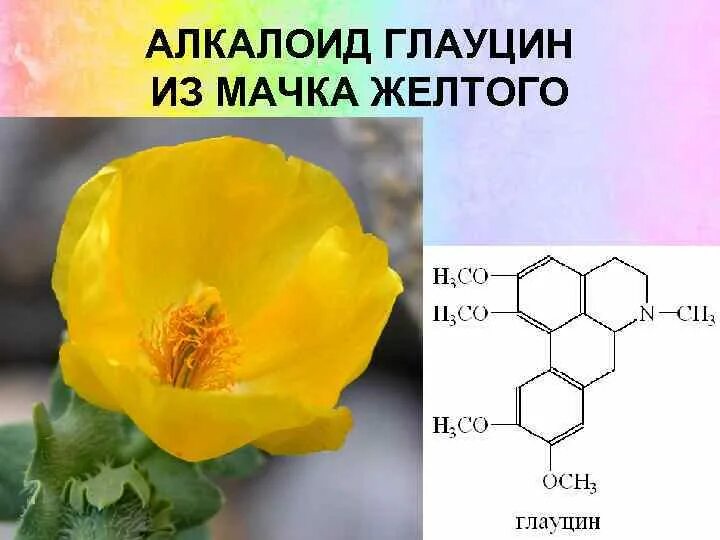 Алкалоид Глауцин. Алкалоиды в растениях. Алкалоиды формула. Алкалоиды и гликозиды растительного. Алкалоид в чайных листьях