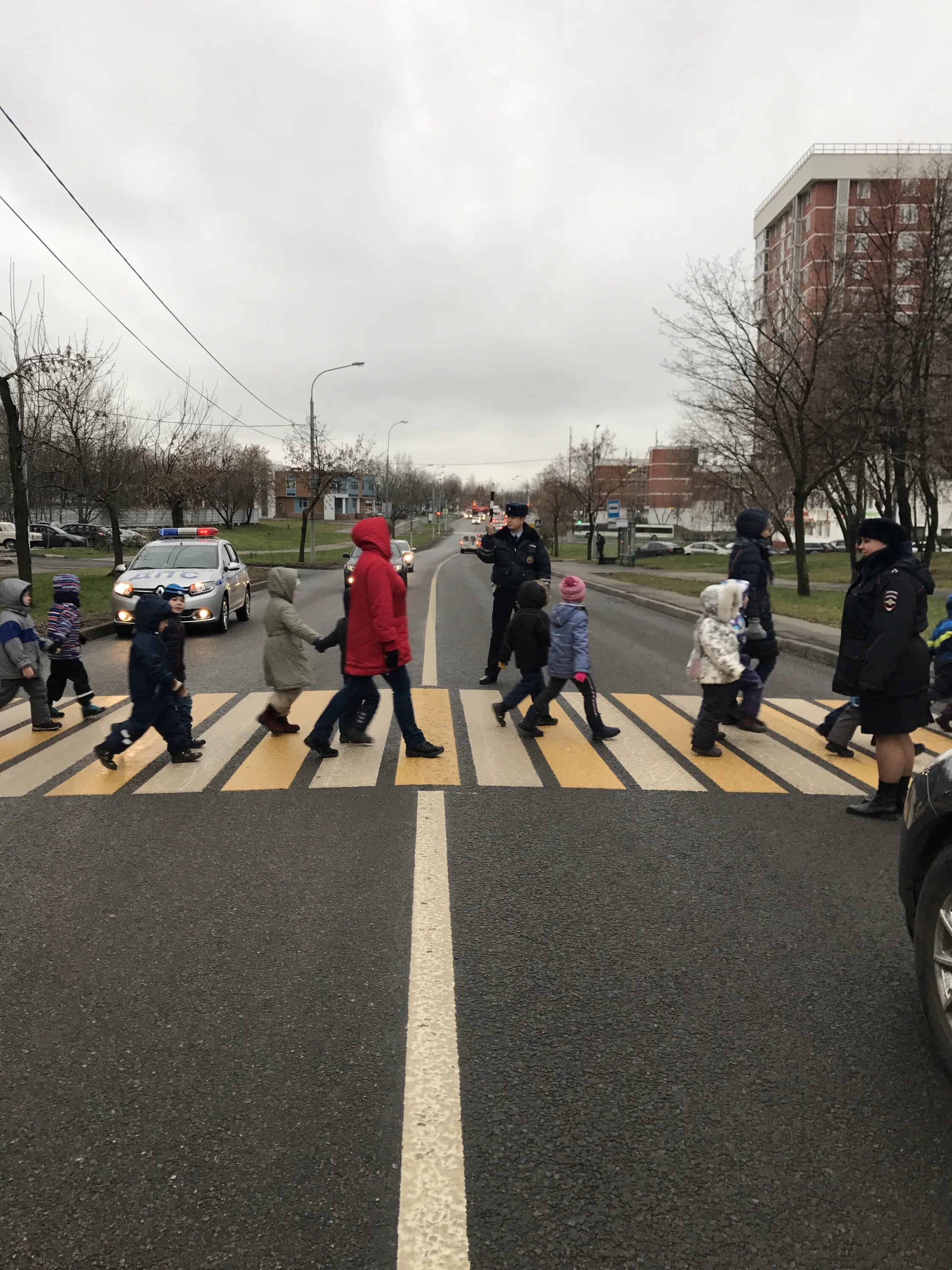 Пешеход. Пешеходный переход Санкт Петербург. Электрический пешеход. Пешеход сбоку. Дпс гибдд юао