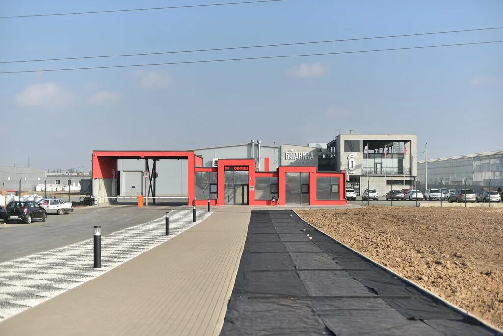 овощевод волжский. ооо овощевод волжский. ботаника волжский. теплица ботаника волжский. овощевод ботаника волжский.