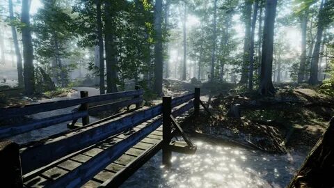 Safe forest