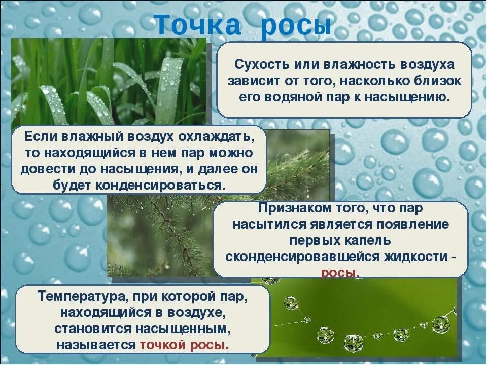 В условиях сильной влажности. Влажность воздуха. Влажный воздух. Опыт с влажностью воздуха. Сухой и влажный воздух.