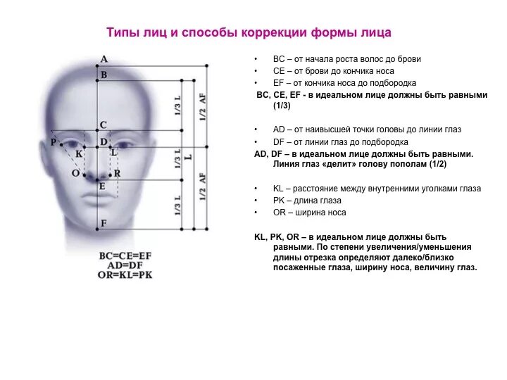 Замер какое лицо. Золотое сечение пропорции бровей. Пропорции лица. Пропорции лица схема. Пропорции человеческого лица.