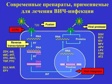 Современное лечение вич