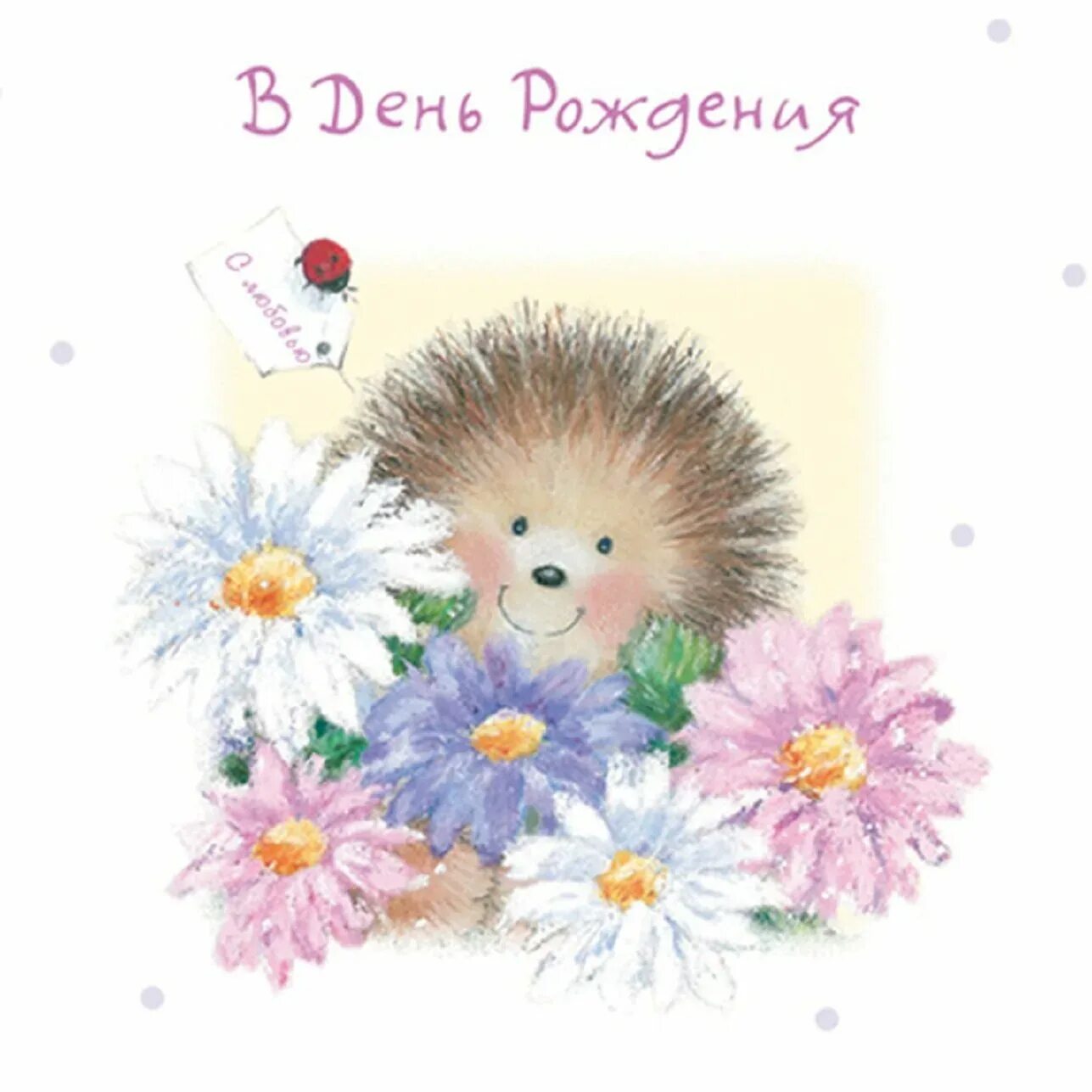 С днем рождения милая яркая. С днем рождения. С днем рождения мишка. С днём рождения жене. С днем рождения яркие цветы.