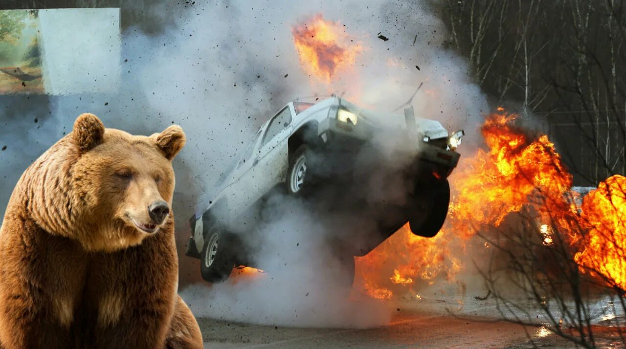Медведь в машине. Горящий медведь. Медведь и горящий автомобиль. Видит медведь горящую машину