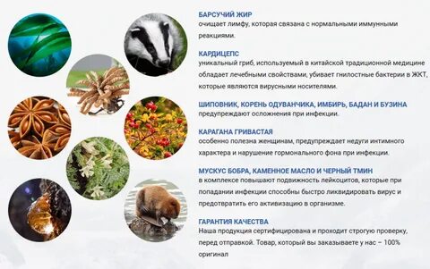 Иммунитет инструкция