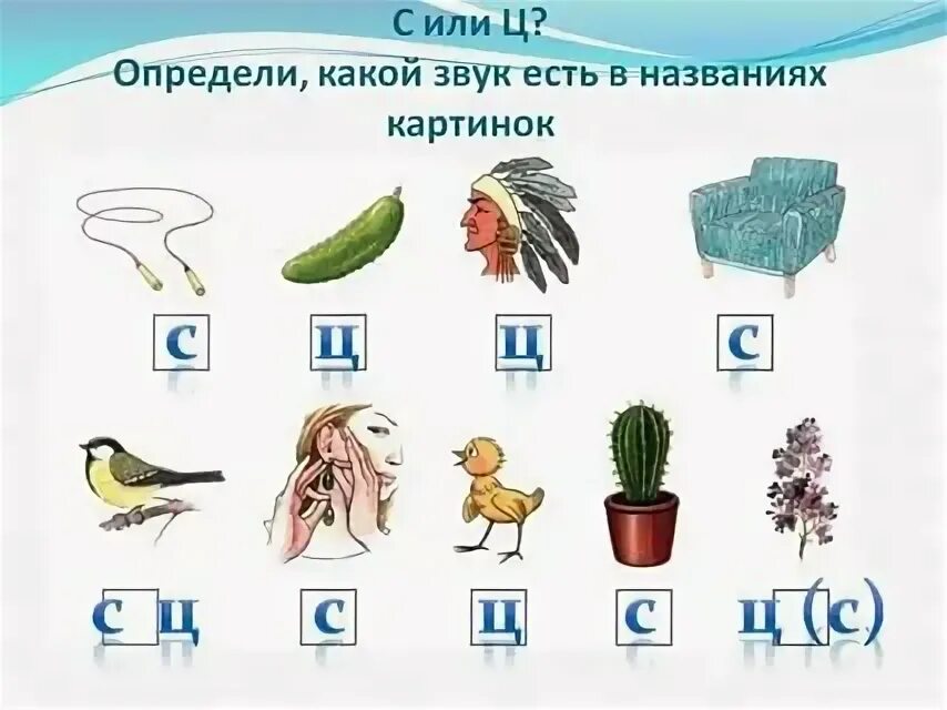 Занятие ц