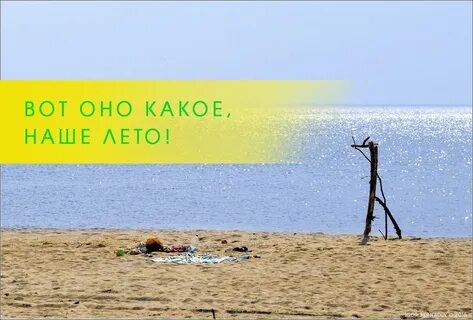 Говорило лето