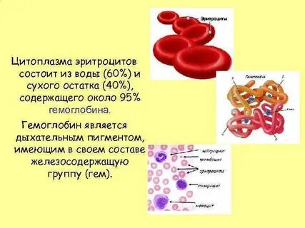 Цвет эритроцитов